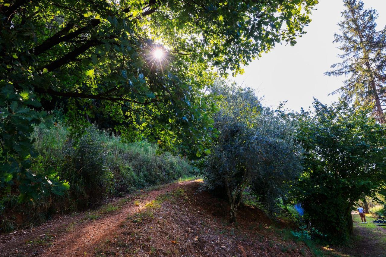 Agriturismo Terra Volonteri Montecatini Terme Ngoại thất bức ảnh