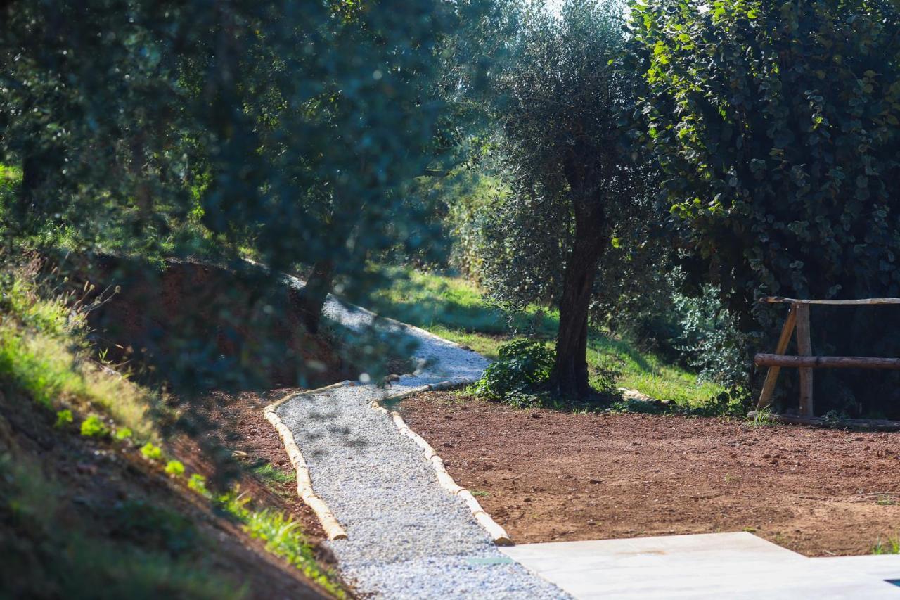 Agriturismo Terra Volonteri Montecatini Terme Ngoại thất bức ảnh