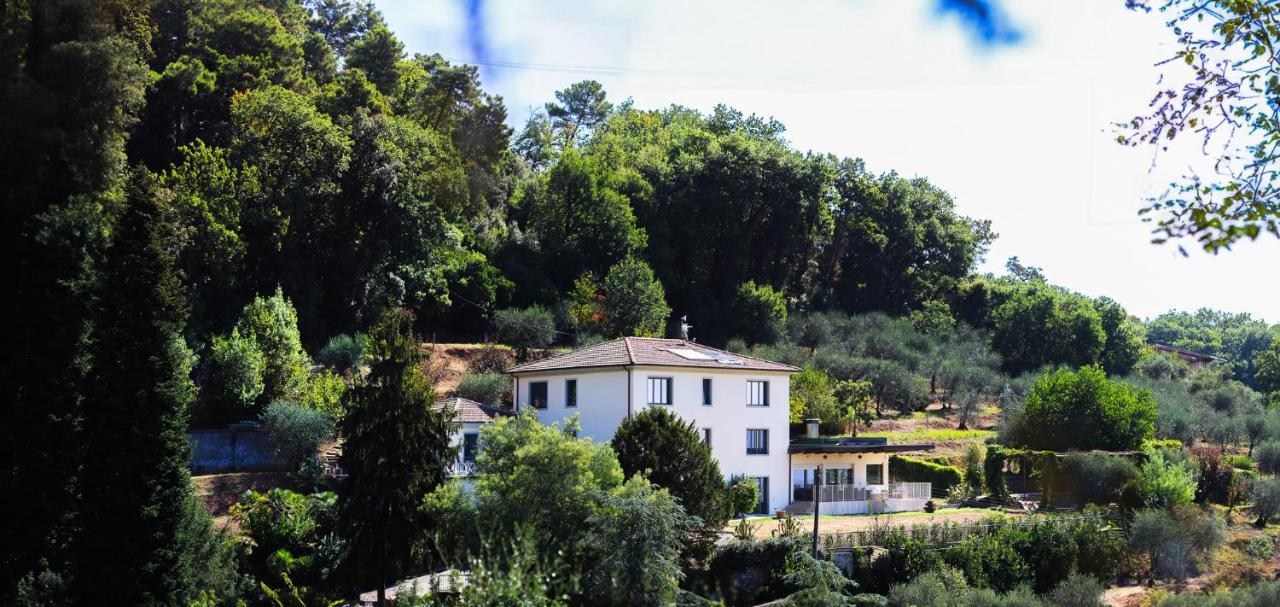 Agriturismo Terra Volonteri Montecatini Terme Ngoại thất bức ảnh