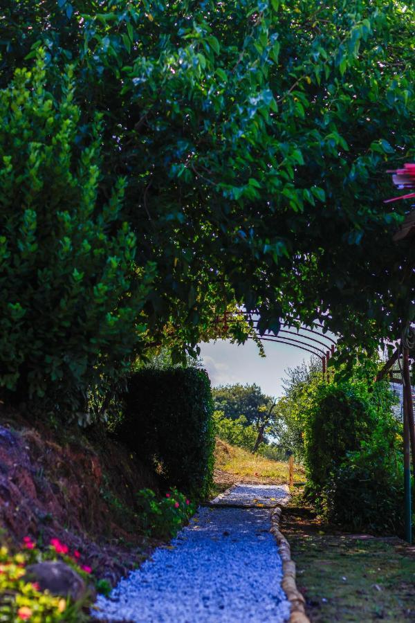 Agriturismo Terra Volonteri Montecatini Terme Ngoại thất bức ảnh
