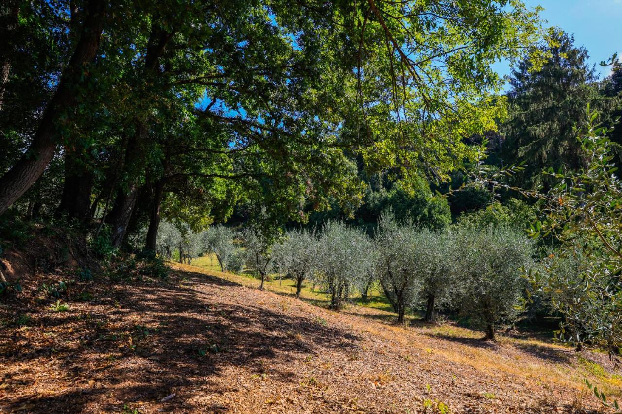 Agriturismo Terra Volonteri Montecatini Terme Ngoại thất bức ảnh