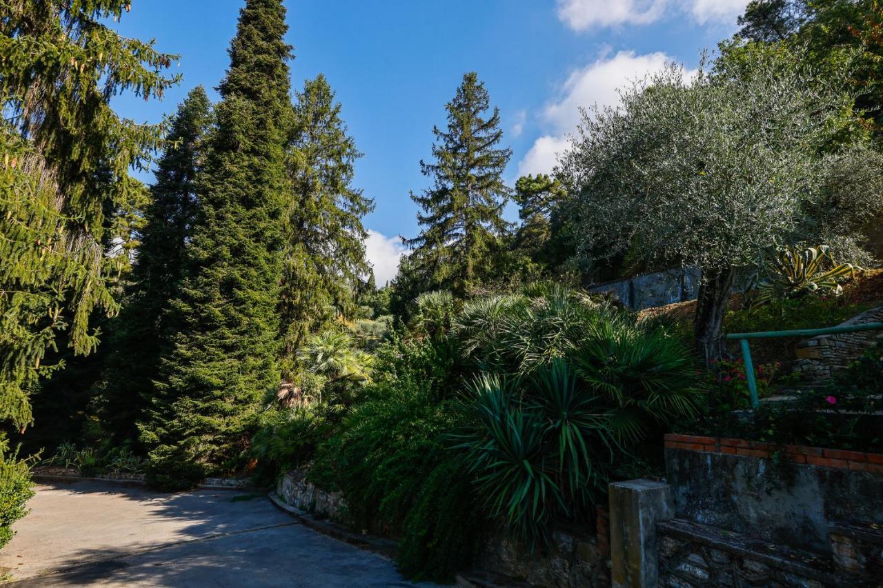 Agriturismo Terra Volonteri Montecatini Terme Ngoại thất bức ảnh