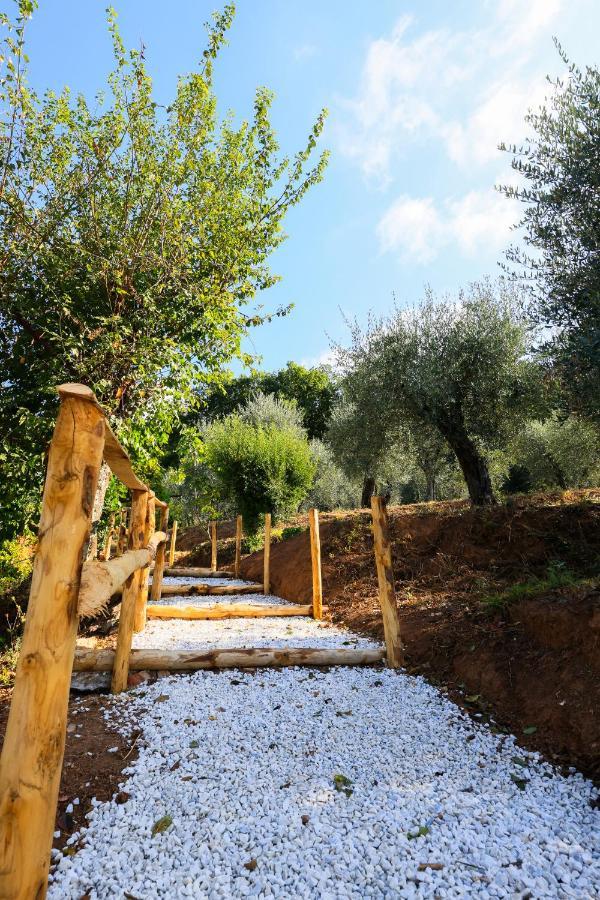 Agriturismo Terra Volonteri Montecatini Terme Ngoại thất bức ảnh