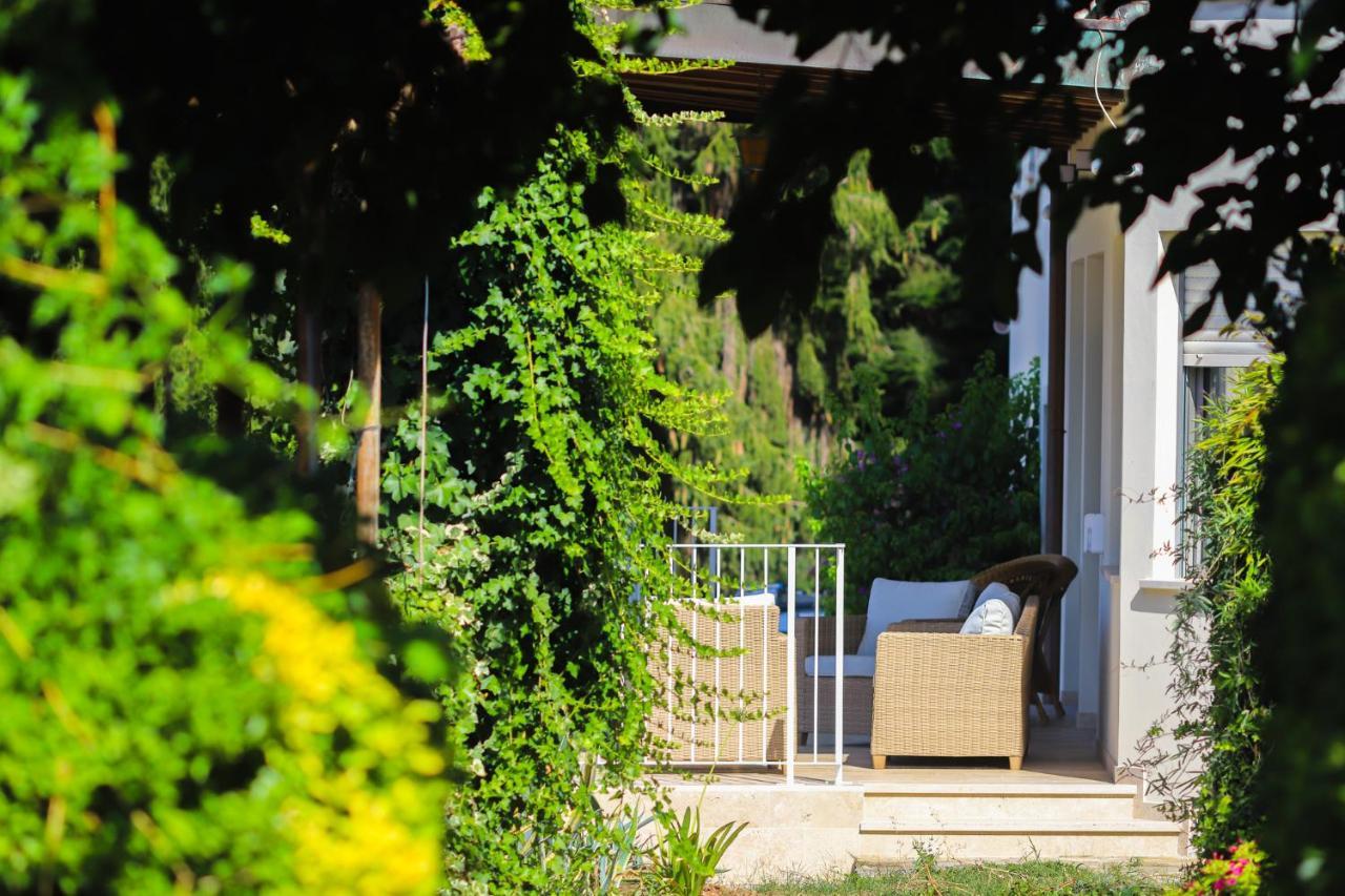 Agriturismo Terra Volonteri Montecatini Terme Ngoại thất bức ảnh