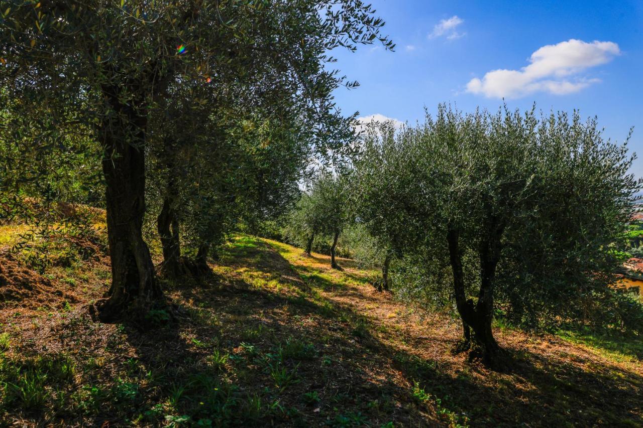 Agriturismo Terra Volonteri Montecatini Terme Ngoại thất bức ảnh