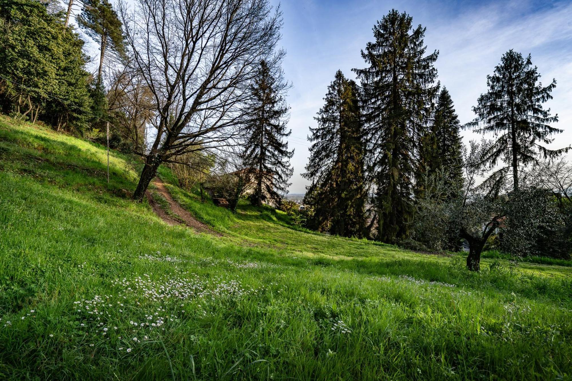 Agriturismo Terra Volonteri Montecatini Terme Ngoại thất bức ảnh